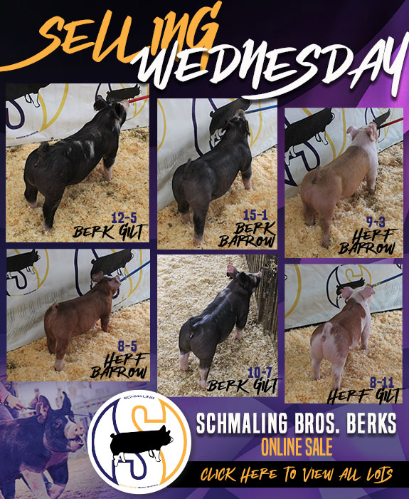 Schmaling Bros. Online Sale