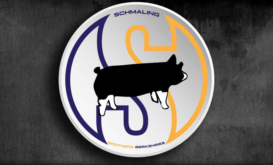 Schmaling Brothers Berkshires