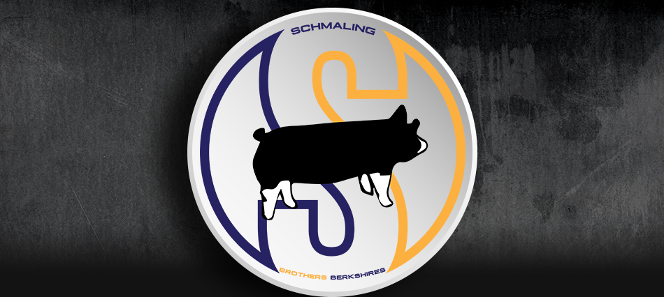 Schmaling Brothers Berkshires